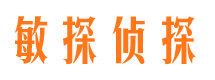 平阳侦探调查公司